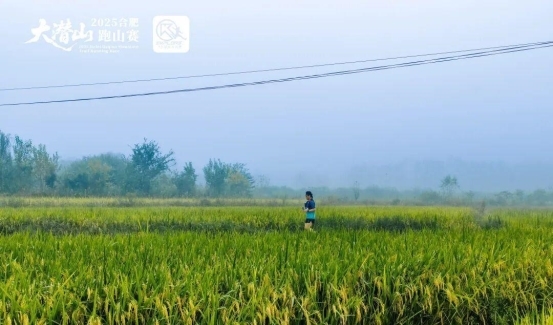 1759222223-2512f69d2f81c69 1759222223-2512f69d2f81c69