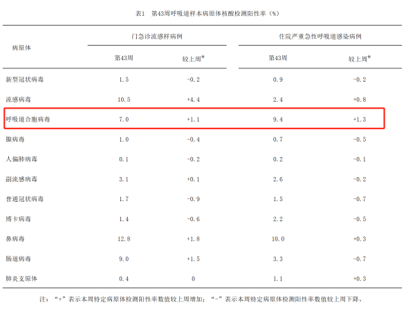 1762491022-8cd62e26abdaa51